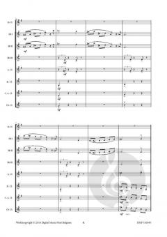 On Gossamer Wings von Robert Van Aerschot 