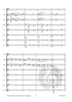 On Gossamer Wings von Robert Van Aerschot 