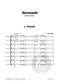 Serenade von Hans Aerts 