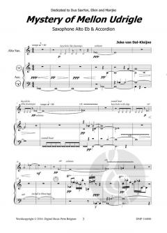 Mystery of Mellon Udrigle von Joke van Dal-Kleijne 