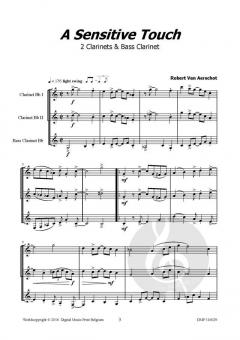 A Sensitive Touch von Robert Van Aerschot 