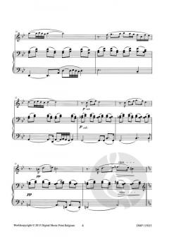 Souvenir & Troïka von Hans Aerts 