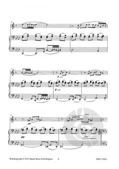 Souvenir & Troïka von Hans Aerts 