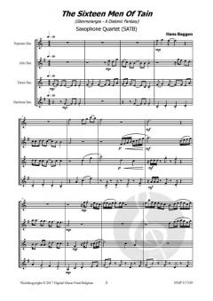 The Sixteen Men von Hans Baggen 