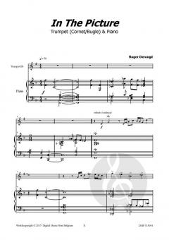 In the Picture von Roger Derongé 