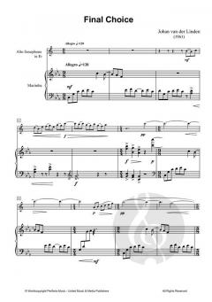 Final Choice von Johan van der Linden 