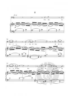 Cementeri de sinera von Joaquim Homs 