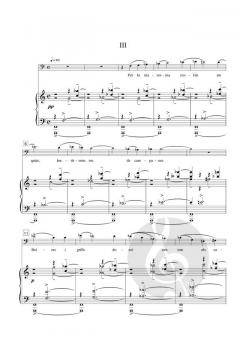 Cementeri de sinera von Joaquim Homs 