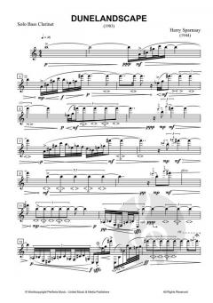 Dunelandscape von Harry Sparnaay 