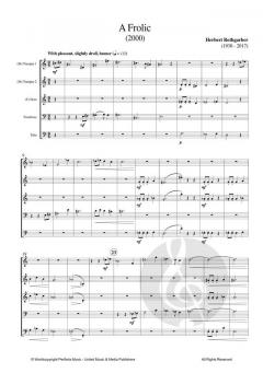 A Frolic von Herbert Rothgarber 