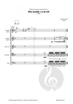 Als ocells i a la nit von Jordi Rossinyol 