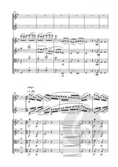 Gran Duetto Concertato von Luigi Bassi 