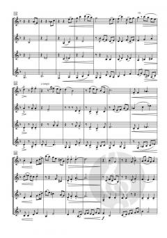 Pequeña Rapsodia sobre Ritmos Colombianos von Luis Carlos Erazo 