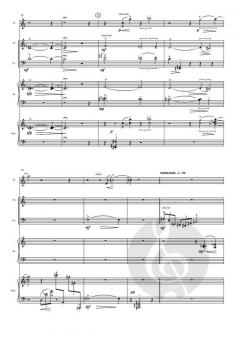 2 Soliloquis von Joaquim Homs 