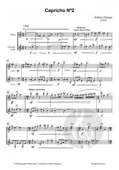 Capricho No. 2 von Rubian Zuluaga 