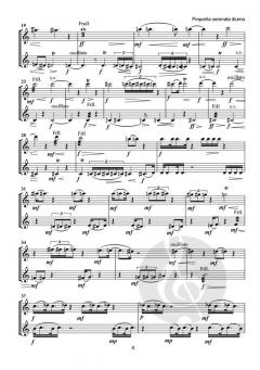 Pequeña serenata diurna von Tomás Marco 