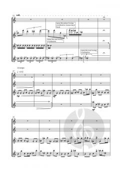 4 Flutes Quartet von Jorge Variego 