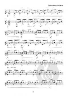 Rapsodia Que Mira al Sur von Tomás Marco 