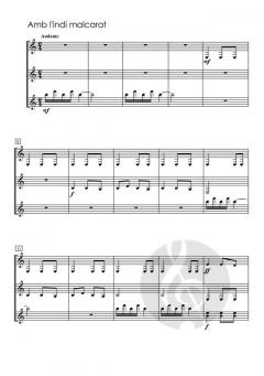 Quadern de Viatge von Peregrí Portolés 