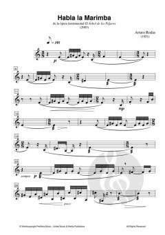 Habla la Marimba von Arturo Rodas 