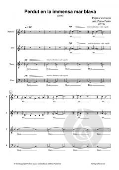 Perdut en la immensa mar blava von Pedro Pardo 