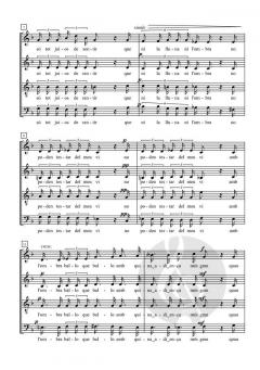 La Festitxola von Mercé Torrents 