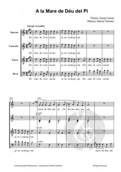 A la mare de Déu del Pi von Mercé Torrents 