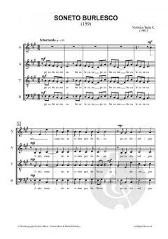 Soneto Burlesco von Verónica Tapia C. 