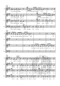 Soneto Burlesco von Verónica Tapia C. 