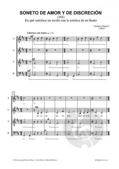 Soneto de Amor y de Discreción von Verónica Tapia C. 