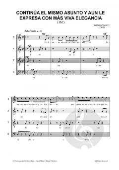 Continúa el Mismo Asunto y aun le Expresa con Más Viva Elegancia von Verónica Tapia C. 