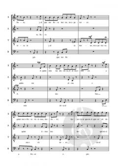 Continúa el Mismo Asunto y aun le Expresa con Más Viva Elegancia von Verónica Tapia C. 