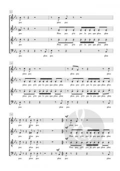 Plou Poc von Pedro Pardo 