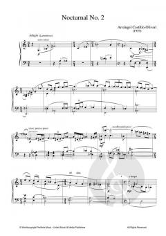 Nocturnal No. 2 von Arcángel Castillo-Olivari 