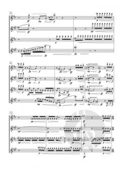 Traces von Johan van der Linden 