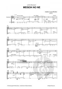 Meisoh no ne von Andrés Lewin-Richter 