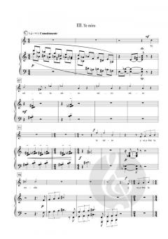 De algo incierto von Delfín Colomé 