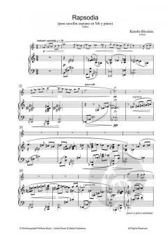 Rapsodia von Karolis Biveinis 