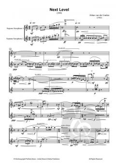 Next Level von Johan van der Linden 