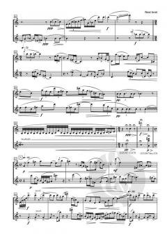 Next Level von Johan van der Linden 