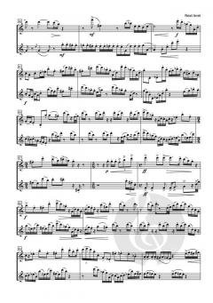 Next Level von Johan van der Linden 