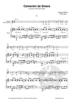 Cementeri de sinera von Joaquim Homs 