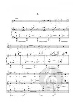 Cementeri de sinera von Joaquim Homs 