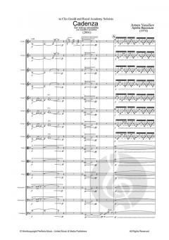 Cadenza von Artem Vassiliev 