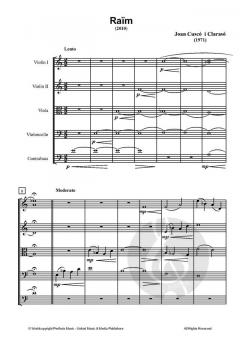 Raïm von Joan Cuscó i Clarasó 