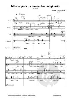 Música para un encuentro imaginario von Sergio Fidemraizer 