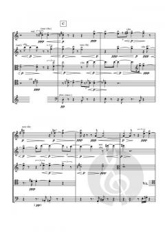 Música para un encuentro imaginario von Sergio Fidemraizer 