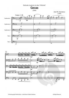 Gecas von José M. Encinoso 