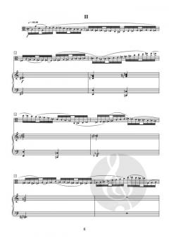 Cinque Pezzi di Bravura op. 323 von Sergio Parotti 