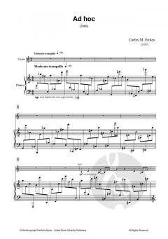 Ad hoc von Carles M. Eroles 